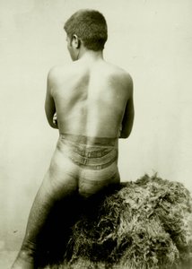vista de uma tatuagem de ervilha samoana, século XIX